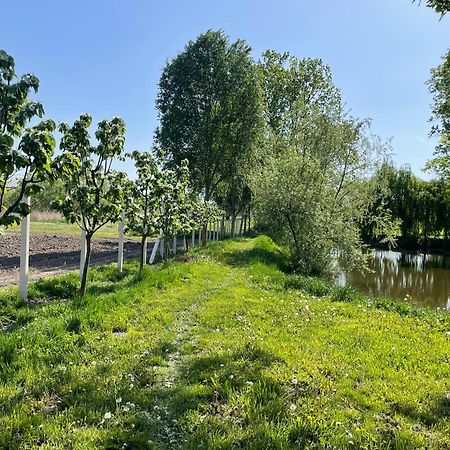 Almosdi Topart Vendeghaz Exteriér fotografie