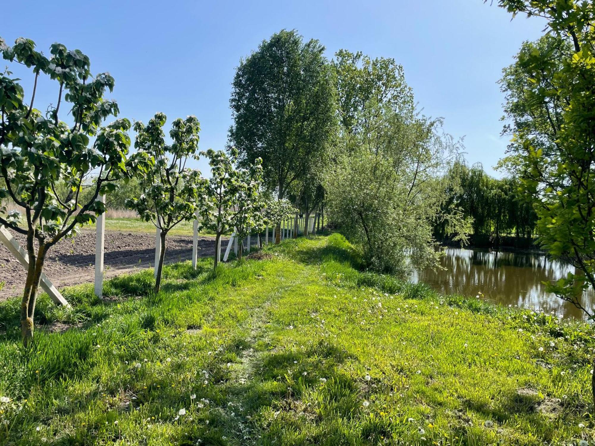 Almosdi Topart Vendeghaz Exteriér fotografie